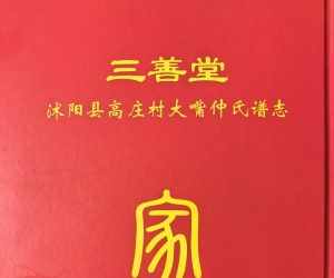 谱志图记合一的探索与思考