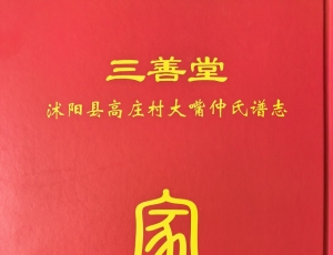 谱志图记合一的探索与思考