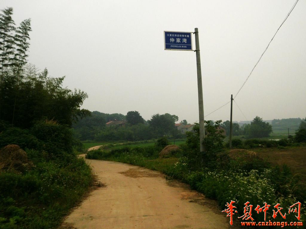 01.jpg