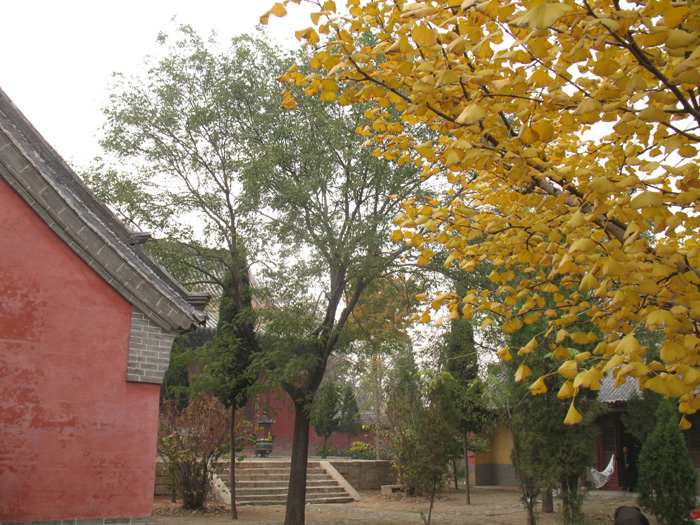IMG_1580.jpg