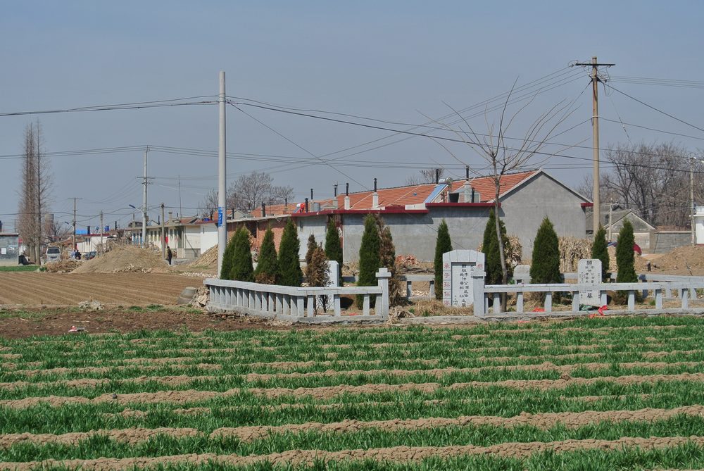 DSC_7096.jpg