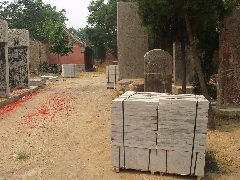 P1018989.JPG