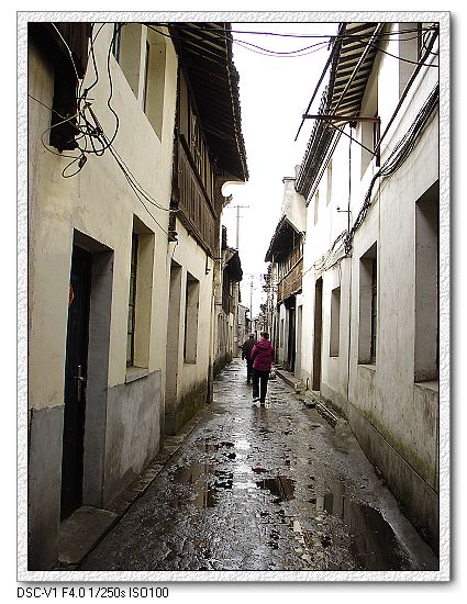 嘉兴仲氏源头浙江新塍镇