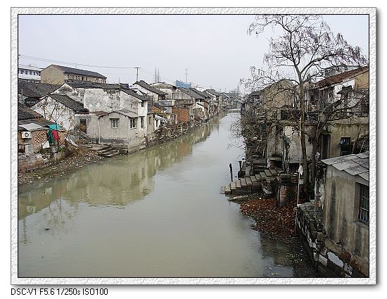 嘉兴仲氏源头浙江新塍镇