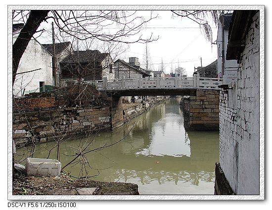 嘉兴仲氏源头浙江新塍镇