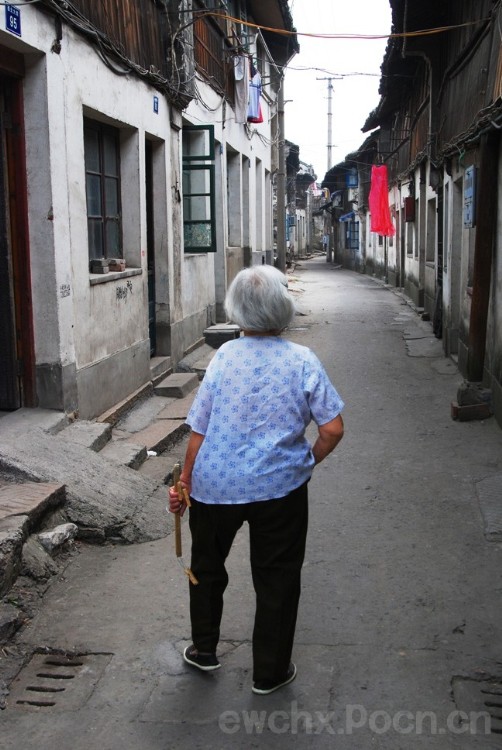 嘉兴仲氏源头浙江新塍镇