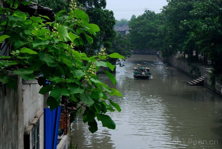 嘉兴仲氏源头浙江新塍镇