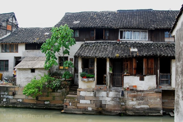 嘉兴仲氏源头浙江新塍镇