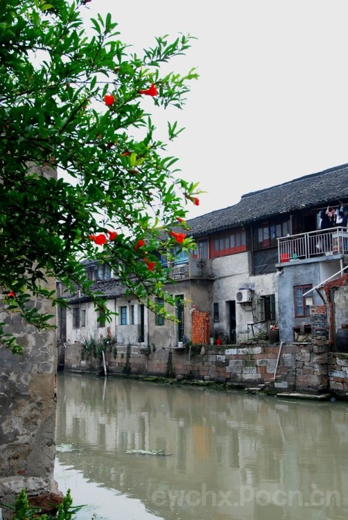 嘉兴仲氏源头浙江新塍镇