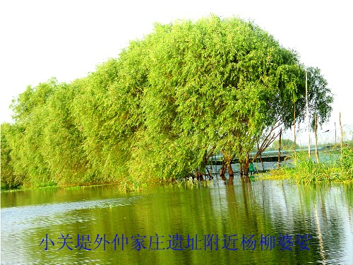 仲庄草庐今安在，杨柳依依思故乡