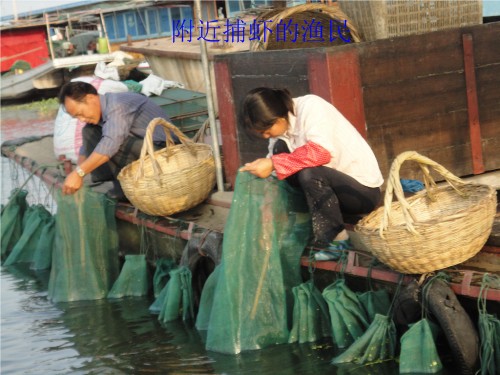 仲庄草庐今安在，杨柳依依思故乡