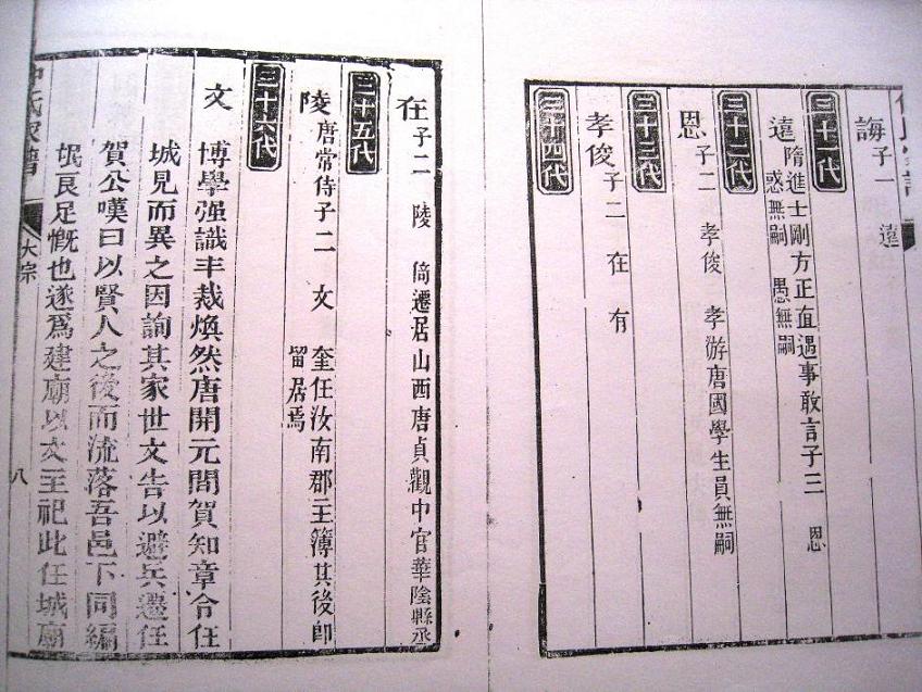 2011第一帖：仲家浅村翰博支谱