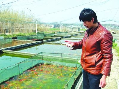 扬州仲金东损失20万