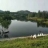 仲肇忠（邹城）