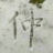 仲俊（海安）