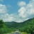 跟风